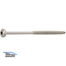 Spanplattenschraube Halbrundkopf 6.0x120 Teilgewinde Torx 25 Edelstahl A2