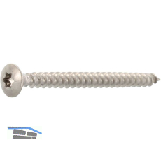 Spanplattenschraube Linsensenkkopf 3.0x 30 Vollgewinde Torx 10 Edelstahl A2