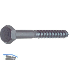 DIN571 8x110 verzinkt Gestellschraube (Schl�sselschraube)