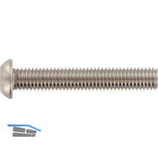 ~ISO7380-1 Sicherheitsschraube FRK M 4x 8 mit TX20 und PIN - Edelstahl A2