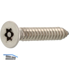 Sicherheitsschraube SNK 4.2x13 Blechschraube mit TX20 und PIN - Edelstahl A2