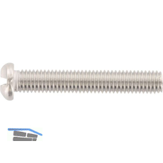 Einwegsicherheitsschraube - Halbrundkopf M 5x10 - Edelstahl A2