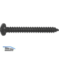 DIN7981C 4.8x 19 PH-Kreuzschlitz verzinkt schwarz Linsen-Blechschraube ~ISO7049