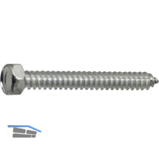 DIN7976C 5.5x 19 verzinkt Sechskantkopf-Blechschraube ~ISO1479