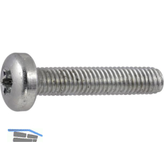 DIN7500PE (CT) M 6x10 Torx 30 verzinkt gewindefurchende Linsenschraube