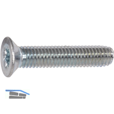 DIN7500ME (MT) M 4x10 Torx 20 verzinkt gewindefurchende Senkschr.