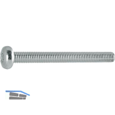 ISO14583 4.8 M 4x10 Torx 20 verzinkt Linsenschraube (DIN7985A)