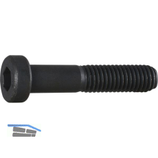 DIN6912 08.8 M 8x 25 blank Zylinderschraube niedriger Kopf und Innensechskt.