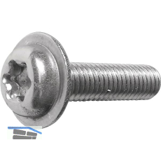 ecosyn-fix M 4x 20 Torx 20 Edelstahl A2 Flanschschraube f�r Apparatebau