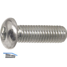 ~ISO7380 08.8 M 5x 20 Torx 25 verzinkt Linsenschraube