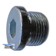 DIN908 5.8 M22x1.5 blank Verschlussschraube zylindrisches, metr. Feingewinde