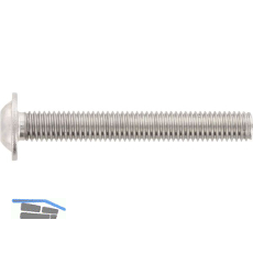 ~ISO7380-2 08.8 M 3x 10 verzinkt Linsenschraube mit Flansch TX10