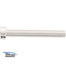ISO14580 Zylinderschraube M 6 x 70 TX30 Edelstahl A2 ISR (DIN7984)