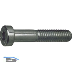 DIN7984 010.9 M 6x 12 blank Zylinderschraube niedriger Kopf, Innensechskant