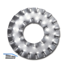 DIN6798A M10 verzinkt F�cherscheibe DD doppelte Zahnung