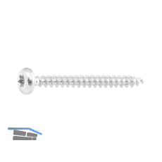 SPEED Spanplattenschraube HRK 4.5x 20 Vollgewinde Torx 20 EFP-beschichtet