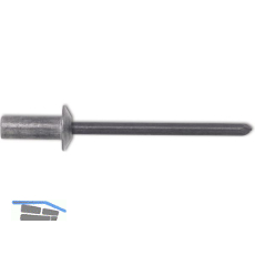 ISO15973 Dichtniete Flachrundkopf 3.2x 8 Aluminium mit Stahldorn