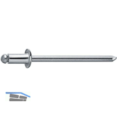 Spenglerniete Flachrundkopf 3.2x10 Monel mit Edelstahldorn