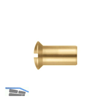 H�lsenmutter Linsensenkkopf M 5x 20 Messing blank mit Schlitz