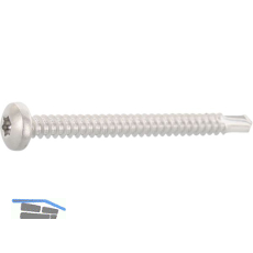 DIN7504N 4.8x 50 Torx25 Edelstahl A2 Linsen-Bohrschraube