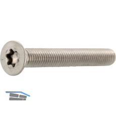 ISO14581 M 4x 8 Torx 20 Edelstahl A4 Senkschraube