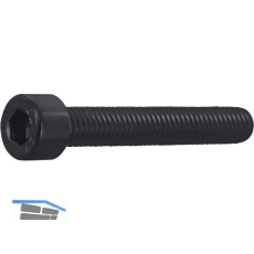 ISO4762 M 4x 45 Edelstahl A4 Zylinderschraube mit Innensechskant schwarz