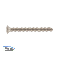 ISO14584 M 6x 25 Torx 30 Edelstahl A4 Linsensenkschraube (DIN966A)