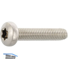 DIN7500PE (CT) Torx 20 M 4x 8 Edelstahl A2 gewindefurchende Linsenschraube