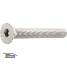 ISO10642 M 4x 8 Edelstahl A2 Senkschraube mit Innensechskant (~DIN7991)