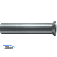 H�lsenmutter Linsenkopf mit Schlitz M4 x 25 Messing vernickelt