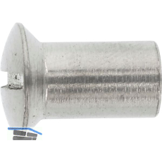 H�lsenmutter Linsensenkkopf M 8x 20 Edelstahl A4 mit Schlitz