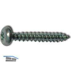 S-Spanplattenschraube Halbrundkopf 5.0x 55 Vollgewinde Torx 25 verzinkt-blau