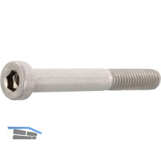 DIN6912 M 4x 20 Edelstahl A2-070 Zylinderschraube mit niedrigem Kopf, ISK