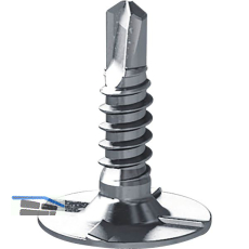 Tellerkopfschraube 4.8x19 GS