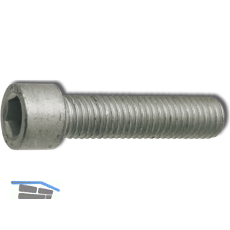 DIN7500EE M 6x25 verzinkt gewindefurchende Zylinderschraube