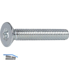 ISO14581 08.8 M 4x10 Torx 20 verzinkt Senkschraube
