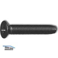 DIN7500M M 4x10 Pozidriv 2 verzinkt schwarz gewindefurchende Senkschraube