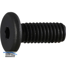 Zylinderschraube mit extrem niedrigem Kopf M10x 16 G�te 10.9