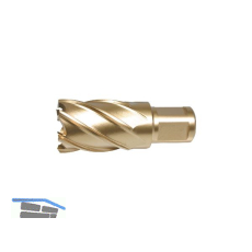 ALFRA Metallkernbohrer � HSS-Co-Eco mit Weldon-Schaft 19 mm DM=17 mm ST=30 mm