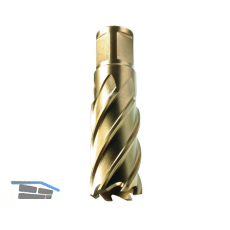 ALFRA Metallkernbohrer � HSS-Co-Eco mit Weldon-Schaft 19 mm DM=33 mm ST=50 mm