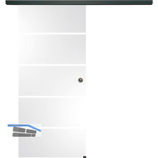 SOLIDO Glasschiebet�r Set Sensita 15, Beschl�ge/Muschelgriff schwarz, 920x2100