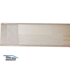 DANA Roht�re Dominanta 3 EI2 30-C TBA 980/2050 mm