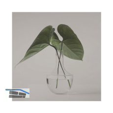 SOLIDO Glasmuster BlackShine 100x150 mm