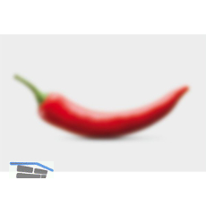 SOLIDO Glasmuster Reflo 100x150 mm