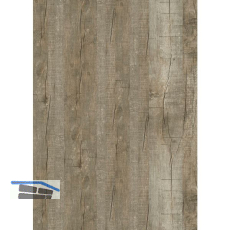 LICO Vinylboden Hydro Basic Eco Line, Eiche Fossil, 6,2 mm