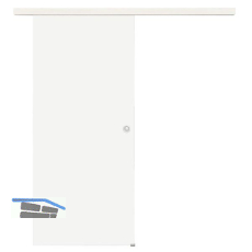 Glasschiebet�r Set Satiniert, 820x2100mm, Inlay CPL Bianco Muschelgriff silber