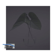 SOLIDO Glasmuster BlackDark 210x297 mm