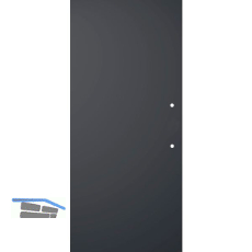 SOLIDO Glasschiebet�r BlackDark, mit Sto�griff Bohrung 920x2100