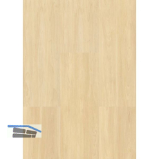 LICO Vinylboden Hydro Basic Eco Line, Waldahorn, 6,2 mm