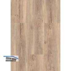 LICO Vinylboden HDF Eco Line, Herbsteiche Creme, 9,5 mm